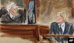 FILE - In this courtroom sketch, Judge Arthur Engoron questions former President Donald Trump on the witness stand in New York Supreme Court on Oct. 25, 2023, in New York. (Elizabeth Williams via AP)