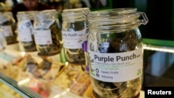 FILE - Jars containing marijuana are seen at Royal Queen Seeds, a cannabis shop in Bangkok, Nov. 17, 2022. 