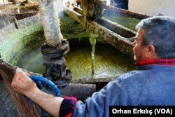 Avrupa ve Asya ülkeleri başta olmak üzere birçok Arap ülkesine de ihraç edilen Nizip sabunu, ABD tarafından da yoğun ilgi görüyor.