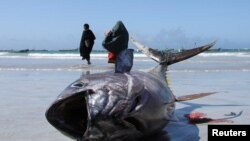 Somali women walk near a fish put on display by fishermen at the Liido beach in Mogadishu.