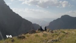 سەدای لاوک و حەیرانی کوردی پایزۆک لە چیای جولەمێرگ
