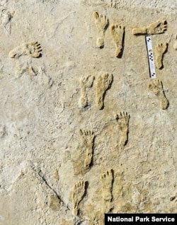 This photo made available by the National Park Service in September 2021 shows fossilized human fossilized footprints at the White Sands National Park in New Mexico (NPS via AP)