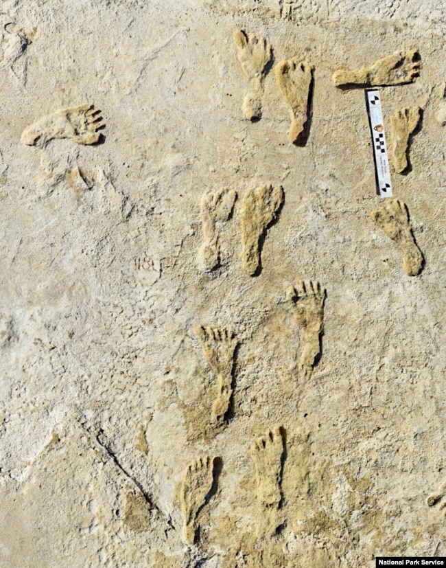 This undated photo made available by the National Park Service in September 2021 shows fossilized human fossilized footprints at the White Sands National Park in New Mexico. (NPS via AP)