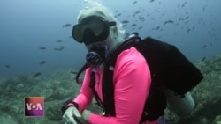 Women Breaking Gender Stereotypes in Scuba Diving