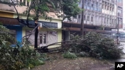 Trees are strewn across a street in Quelimane, Mozambique, March 11, 2023.