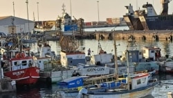 Cabo Verde: Armadores de pesca pedem melhor frota e fiscalização do mar, ministro responde com projectos 