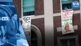 ABD’de üniversite protestoları büyüyor, öğrenciler kampüs binasını işgal etti – 30 Nisan