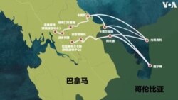 拖家带口“润”美 走线客：“雨林风险大，国内风险更大”