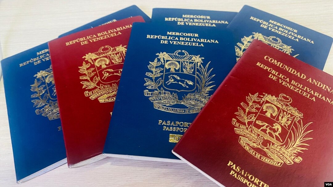 Un grupo de pasaportes venezolanos de diferentes años de expedición, en una imagen tomada por la Voz de América el 8 de agosto de 2024.