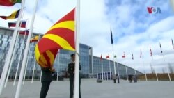 Македонија четири години дел од најмоќниот воено-политички Сојуз