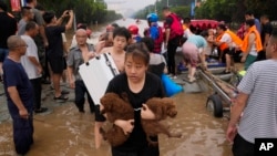 A woman carries her pet dogs as residents are evacuated on rubber boats through floodwaters in Zhuozhou in northern China's Hebei province, south of Beijing, Aug. 2, 2023.