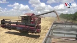 روس ګواښ کړی چې د اوکراین نه د غلې د محفوظه برامداتو لوظنامه به ختمه کړي