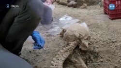 2.000 yıl önce yanardağın yok ettiği Pompei’de iki kişinin daha kalıntıları bulundu