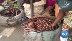 Defumar peixe tradicional na República do Congo ameaça a floresta