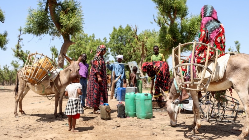 Vingt-deux morts dans un nouveau conflit entre éleveurs et cultivateurs au Tchad