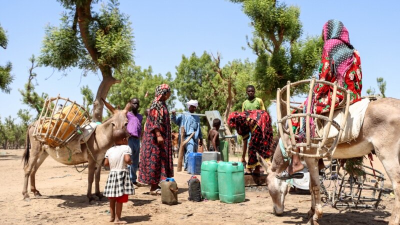 Débat autour des violences faites aux femmes au Tchad :  une pétition est lancée