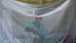 Le paludisme, ce tueur silencieux quasi banalisé au Togo