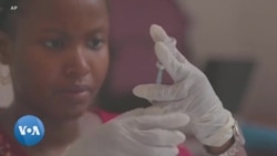 Un deuxième vaccin contre le paludisme approuvé