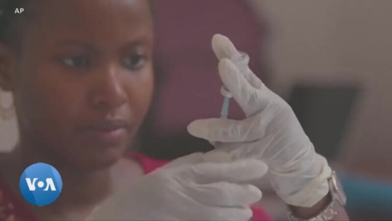 Un deuxième vaccin contre le paludisme approuvé