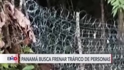 Panamá instala alambre de púas en la selva del Darién