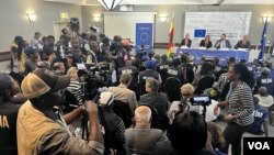 FILE - European Union election observer mission talks to reporters in Harare, Zimbabwe. (Columbus Mavhunga/VOA)