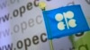 资料照：石油输出国组织欧佩克 (OPEC)标识