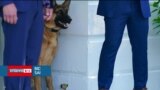 Biden'ın yaramaz köpeği Commander Beyaz Saray'dan taşınıyor