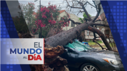 El Mundo al Día: Tormenta tropical Hilary bate récords de lluvia en California