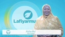 LAFIYARMU: Guguwa, Ambaliyar Ruwa Da Girgizar Kasa Na Daga Cikin Bala’o’in Da Suke Aukuwa Da Ke Jefa Al’umma Cikin Tashin Hankali
