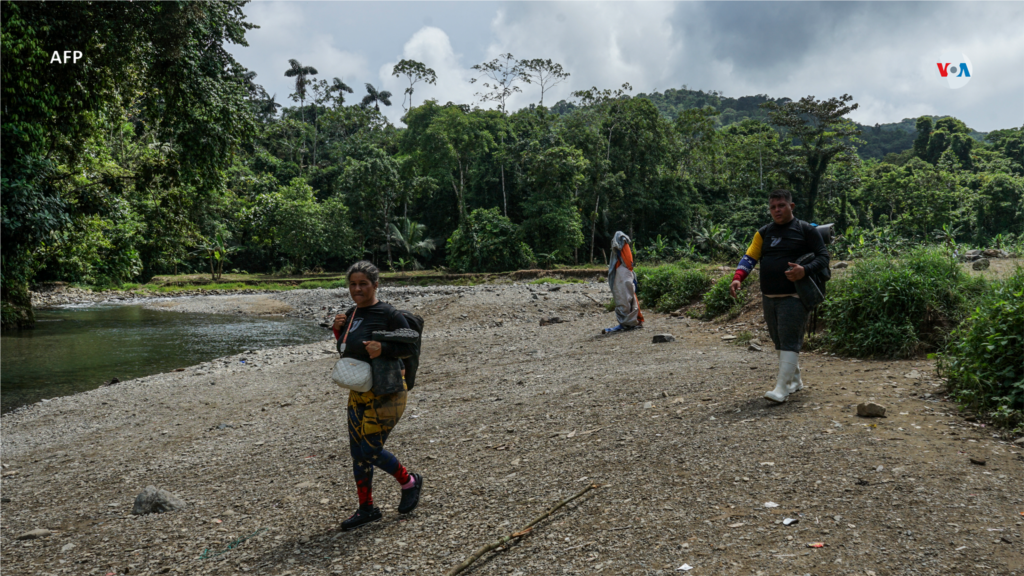 Migrantes llegan a la Estación Temporal de Asistencia Humanitaria (ETAH), en Lajas Blancas, provincia de Darién, Panamá, el 18 de agosto de 2023.