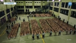 El Salvador’da ‘Çete Üyeleri’ İçin 40 Bin Kişilik Yeni Hapishane
