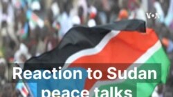 Reaction to Sudan peace talks