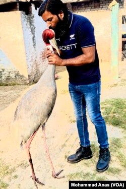 Arif Gurjar and a Sarus crane he named "Sarus" at his village in Mandkha, Uttar Pradesh, India, in February 2023.