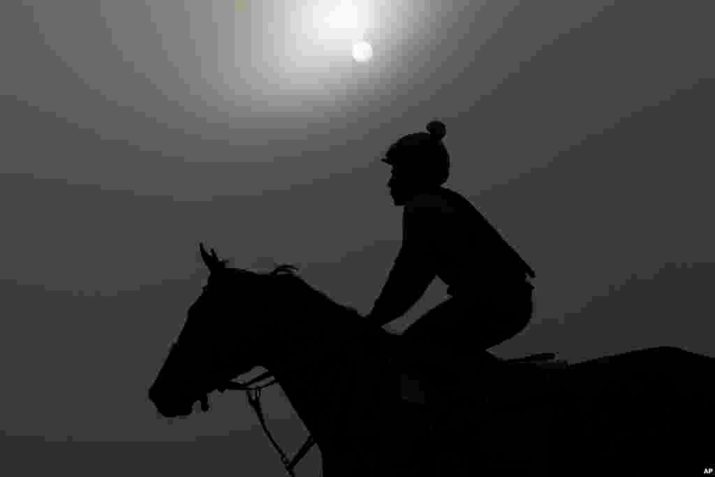 A horse works out ahead of the 156th running of the Belmont Stakes horse race at Saratoga Race Course, in Saratoga Springs, New York. 