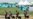 South Korea Scrambles to Aid Scout Jamboree Amid August Swelter