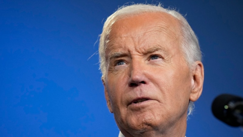 Meet the Democrats who could replace Biden