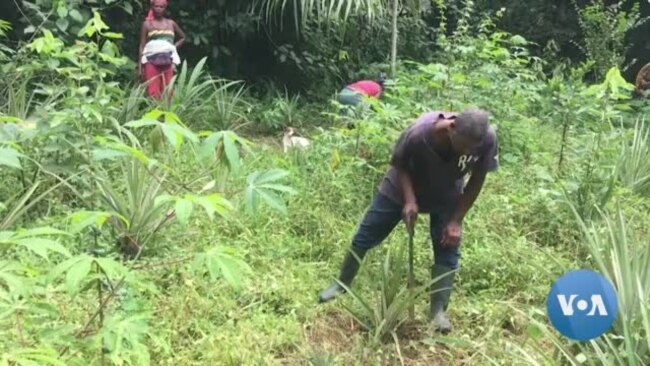 “Tesouros D’Obô” melhora a renda das famílias vulneráveis em São Tomé e Príncipe