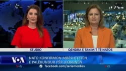 NATO konfirmon mbështetjen e palëkundur për Ukrainën 
