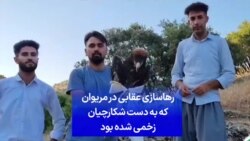 رهاسازی عقابی در مریوان که به دست شکارچیان زخمی شده بود