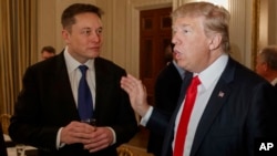 Tổng thống Donald Trump nói chuyện với Tổng Giám đốc Tesla và SpaceX Elon Musk tại Nhà Trắng hồi ngày 3/2/2017 (ảnh tư liệu, AP Photo/Evan Vucci).