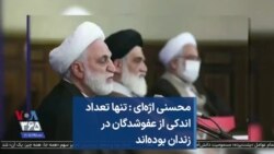 محسنی اژه‌ای: تنها تعداد اندکی از عفو‌شدگان در زندان بوده‌اند