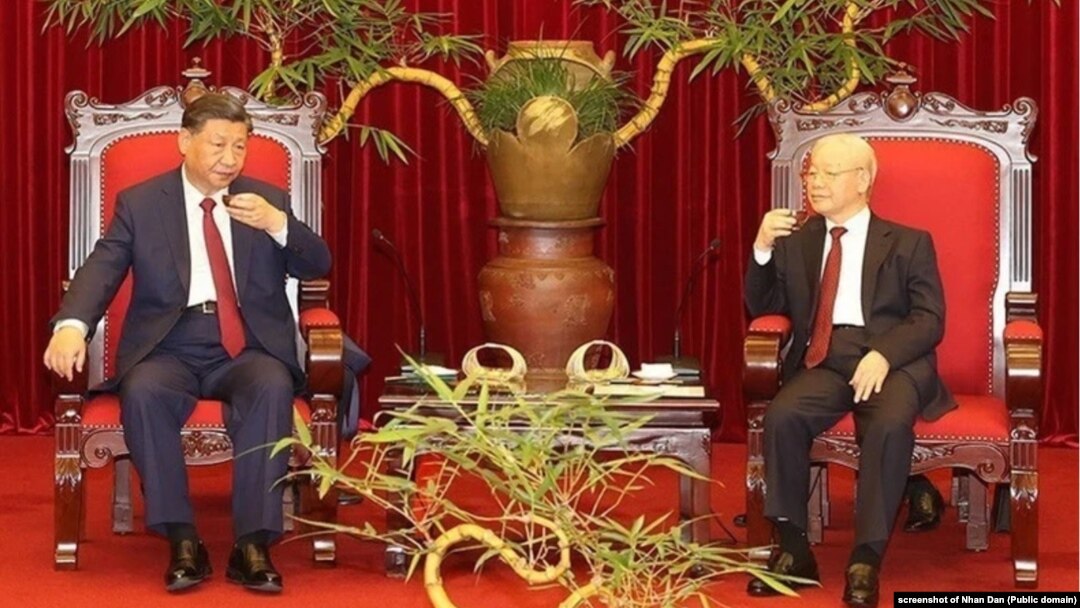 Chủ tịch Tập Cận Bình và Tổng bí thư Nguyễn Phú Trọng trong tiệc trà hôm 12/12/2023.