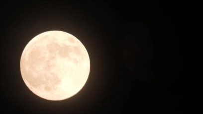 How Rare Is the 'Super Blue Moon' Appearing in Skies Later This Week?, Science