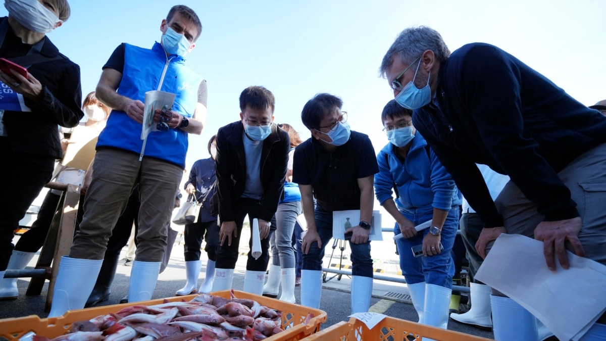 UN Inspectors Test Fukushima Fish