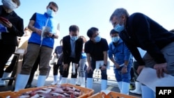 A team of experts from the International Atomic Energy Agency with scientists from China, South Korea and Canada observe baskets of fish to be taken as samples at Hisanohama Port in Iwaki, Japan's Fukushima prefecture, on Oct. 19, 2023. 