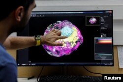 PhD student, Mehmet Yunus Comar, looks at a model of an early-stage human embryo, in a laboratory at the Weizmann Institute of Science in Rehovot, Israel September 7, 2023. (REUTERS/Amir Cohen)