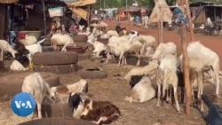 Au Burkina, les moutons sont rares avant la fête de la Tabaski