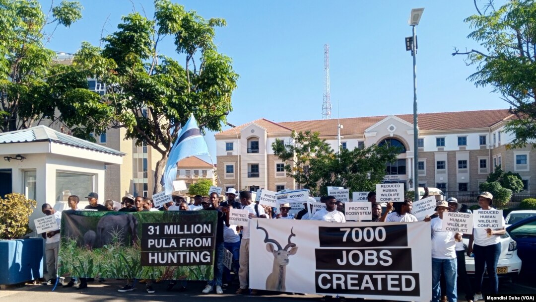 Anti-hunting bill protestors in front of the British High Commission in Gaborone, Botswana, March 12, 2024.