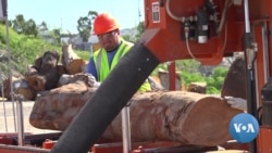 Recycling Trees in an Urban Sawmill 