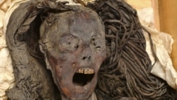 Wajah mumi "Perempuan Menjerit" yang ditemukan pada 1935 di Deir Elbahari dekat Luxor, diperkirakan berasal dari sekitar tahun 1500 SM pada masa Kerajaan Baru Mesir kuno, Museum Mesir, Kairo, Mesir, 18 Januari 2023. (Foto: Sahar Saleem via REUTERS)